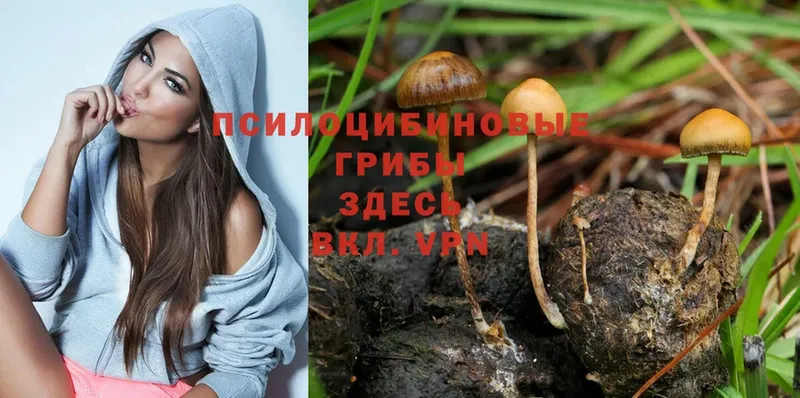 Псилоцибиновые грибы Magic Shrooms  blacksprut онион  Льгов  что такое  